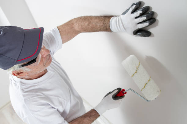 Professional Painting & Drywall Installation in Sturgeon Bay, WI