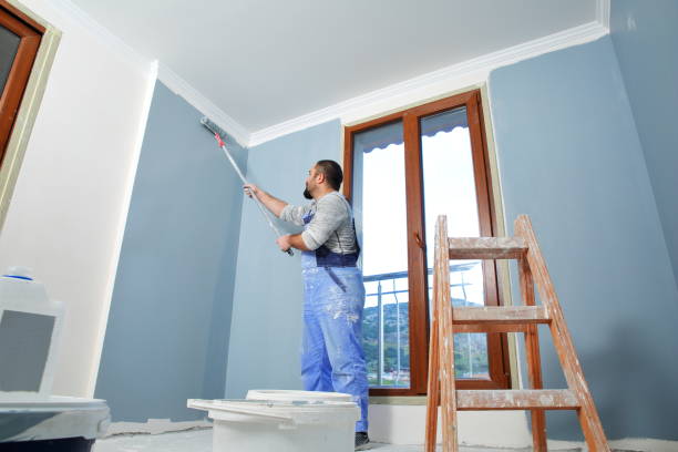 Best Commercial Painting  in Sturgeon Bay, WI