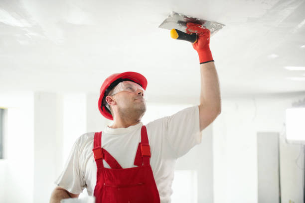 Best Fire-Damaged Drywall Repair  in Sturgeon Bay, WI